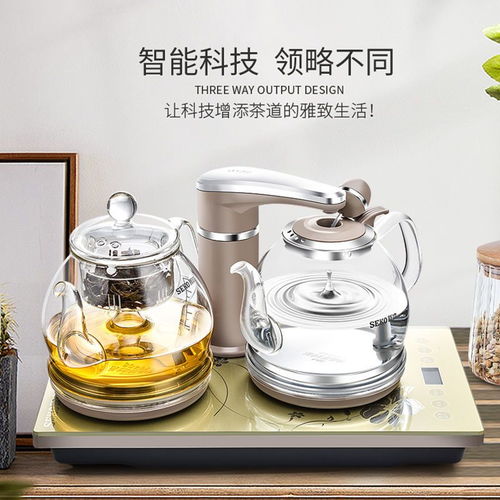 Seko 新功 F103 智能恒温玻璃电茶炉 一壶煮春秋，自动上水臻享茶韵