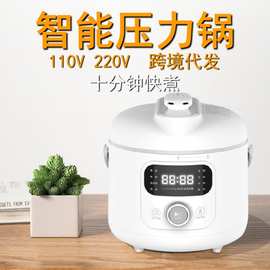 110V高压锅与自动上水器 海外厨房的省心组合与选购指南